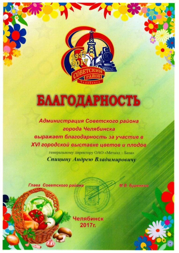 2017 - Администрация Советского района г. Челябинска